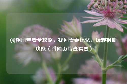 QQ相册查看全攻略，找回青春记忆，玩转相册功能（附网页版查看器）