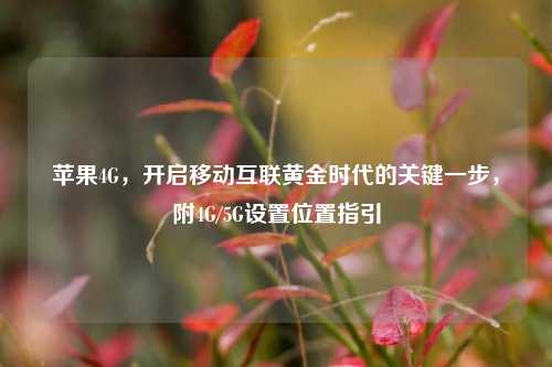 苹果4G，开启移动互联黄金时代的关键一步，附4G/5G设置位置指引