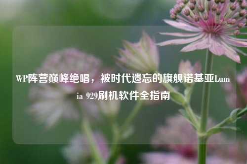 WP阵营巅峰绝唱,被时代遗忘的旗舰诺基亚Lumia 929刷机软件全指南