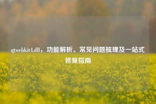 qtwebkit4.dll,功能解析、常见问题梳理及一站式修复指南