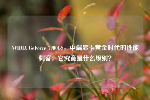 NVIDIA GeForce 7900GS,中端显卡黄金时代的性能刺客,它究竟是什么级别?