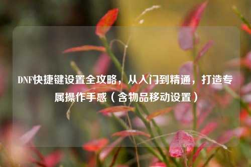 DNF快捷键设置全攻略，从入门到精通，打造专属操作手感（含物品移动设置）
