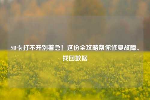 SD卡打不开别着急!这份全攻略帮你修复故障、找回数据