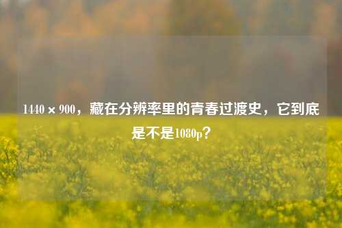 1440×900,藏在分辨率里的青春过渡史,它到底是不是1080p?