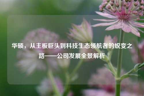 华硕,从主板巨头到科技生态领航者的蜕变之路——公司发展全景解析