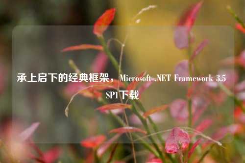 承上启下的经典框架，Microsoft .NET Framework 3.5 SP1下载