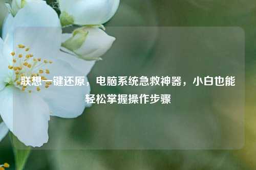 联想一键还原,电脑系统急救神器,小白也能轻松掌握操作步骤