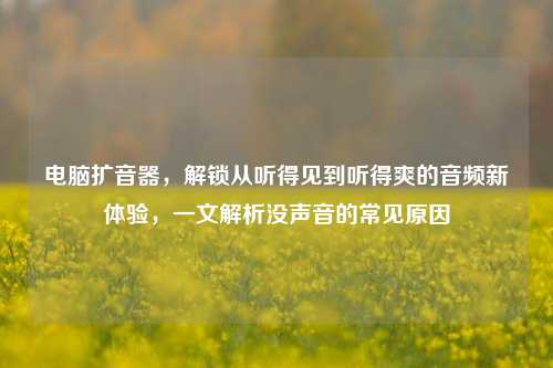 电脑扩音器,解锁从听得见到听得爽的音频新体验,一文解析没声音的常见原因