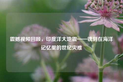 震撼视频回顾,印度洋大地震——镌刻在海洋记忆里的世纪灾难