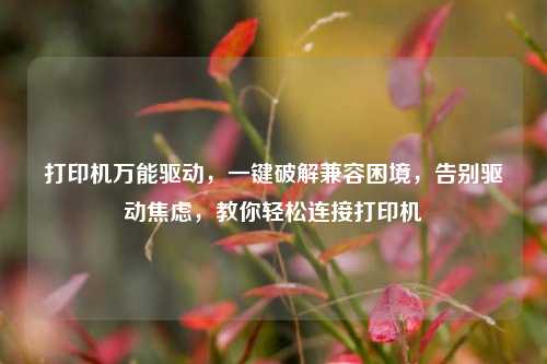 打印机万能驱动,一键破解兼容困境,告别驱动焦虑,教你轻松连接打印机