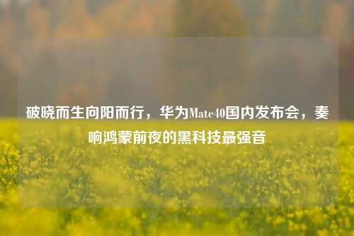 破晓而生向阳而行,华为Mate40国内发布会,奏响鸿蒙前夜的黑科技最强音