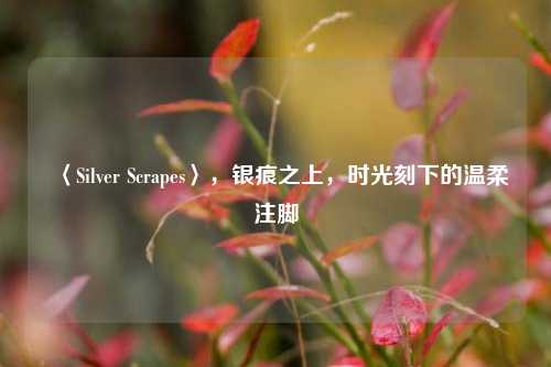 〈Silver Scrapes〉,银痕之上,时光刻下的温柔注脚