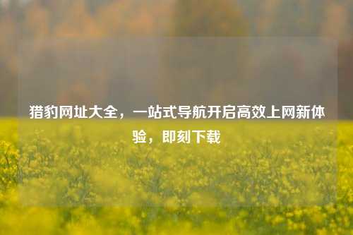 猎豹网址大全,一站式导航开启高效上网新体验,即刻下载
