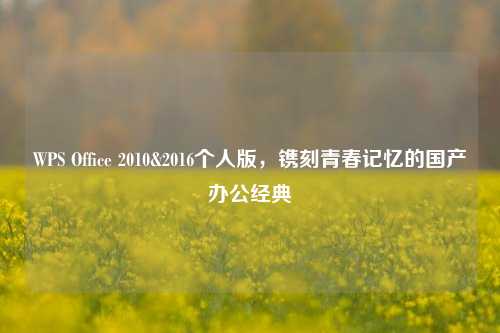 WPS Office 2010&2016个人版，镌刻青春记忆的国产办公经典