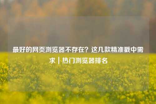 最好的网页浏览器不存在？这几款精准戳中需求｜热门浏览器排名