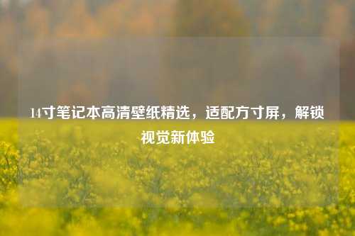 14寸笔记本高清壁纸精选,适配方寸屏,解锁视觉新体验