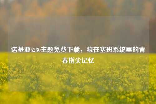 诺基亚5230主题免费下载,藏在塞班系统里的青春指尖记忆
