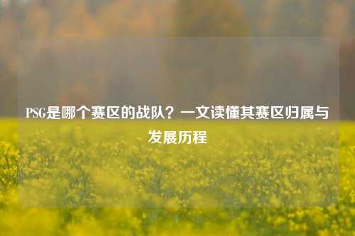 PSG是哪个赛区的战队?一文读懂其赛区归属与发展历程