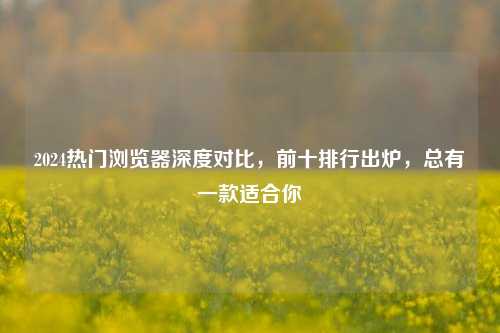2024热门浏览器深度对比,前十排行出炉,总有一款适合你