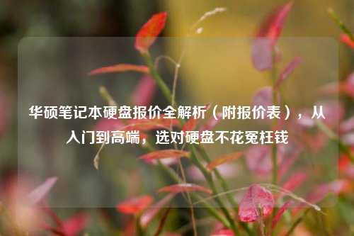 华硕笔记本硬盘报价全解析(附报价表),从入门到高端,选对硬盘不花冤枉钱