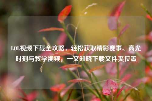LOL视频下载全攻略,轻松获取精彩赛事、高光时刻与教学视频,一文知晓下载文件夹位置