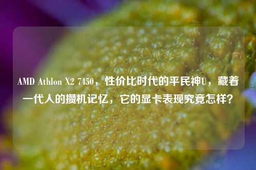 AMD Athlon X2 7450,性价比时代的平民神U,藏着一代人的攒机记忆,它的显卡表现究竟怎样?