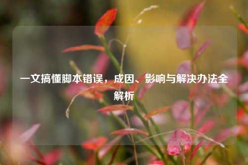 一文搞懂脚本错误,成因、影响与解决办法全解析