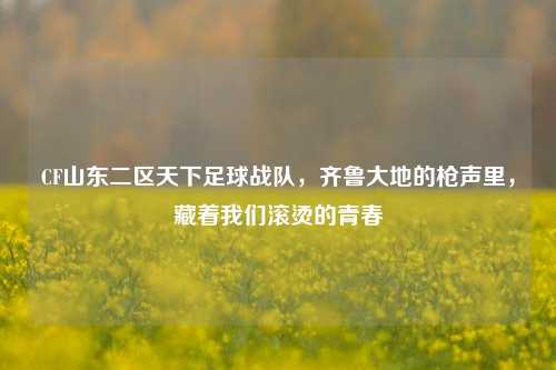 CF山东二区天下足球战队,齐鲁大地的枪声里,藏着我们滚烫的青春