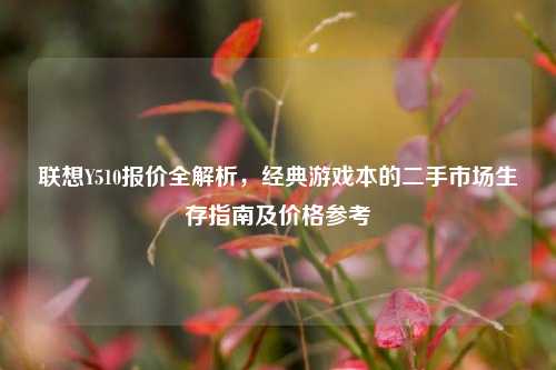 联想Y510报价全解析,经典游戏本的二手市场生存指南及价格参考