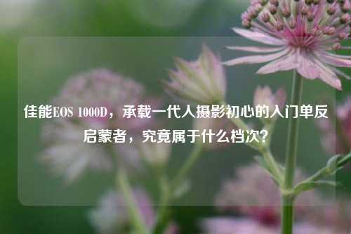 佳能EOS 1000D,承载一代人摄影初心的入门单反启蒙者,究竟属于什么档次?