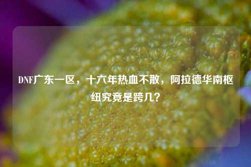 DNF广东一区，十六年热血不散，阿拉德华南枢纽究竟是跨几？