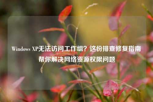 Windows XP无法访问工作组？这份排查修复指南帮你解决网络资源权限问题