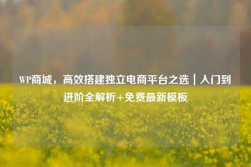 WP商城，高效搭建独立电商平台之选｜入门到进阶全解析+免费最新模板