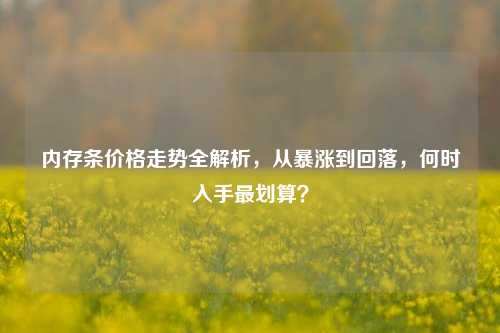 内存条价格走势全解析,从暴涨到回落,何时入手最划算?