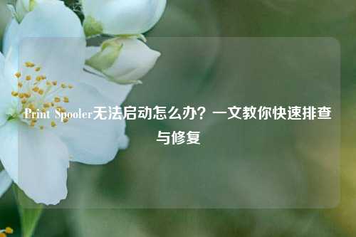 Print Spooler无法启动怎么办?一文教你快速排查与修复