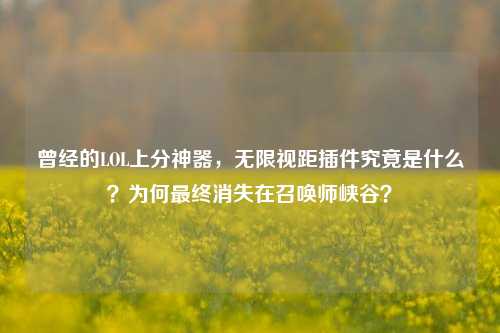 曾经的LOL上分神器,无限视距插件究竟是什么?为何最终消失在召唤师峡谷?