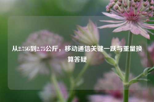 从2.75G到2.75公斤,移动通信关键一跃与重量换算答疑