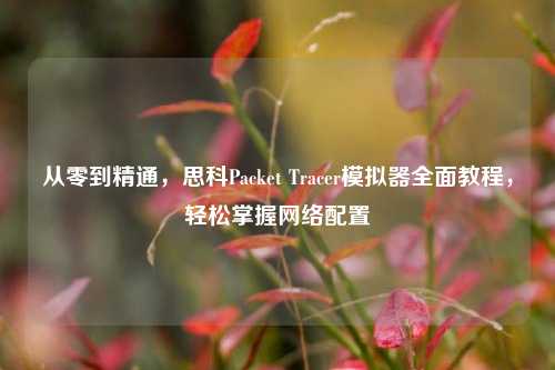 从零到精通,思科Packet Tracer模拟器全面教程,轻松掌握网络配置