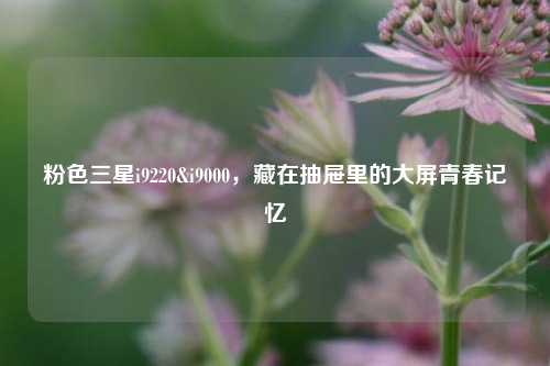 粉色三星i9220&i9000,藏在抽屉里的大屏青春记忆