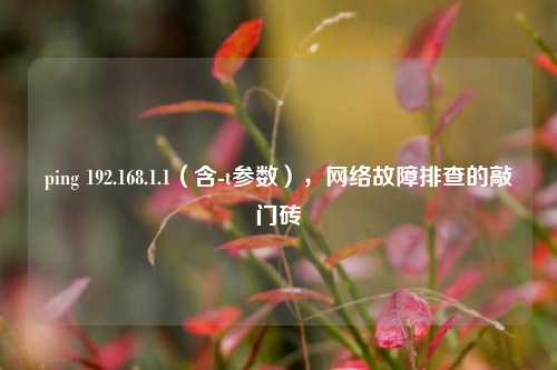 ping 192.168.1.1(含-t参数),网络故障排查的敲门砖