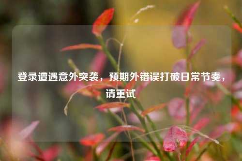 登录遭遇意外突袭，预期外错误打破日常节奏，请重试