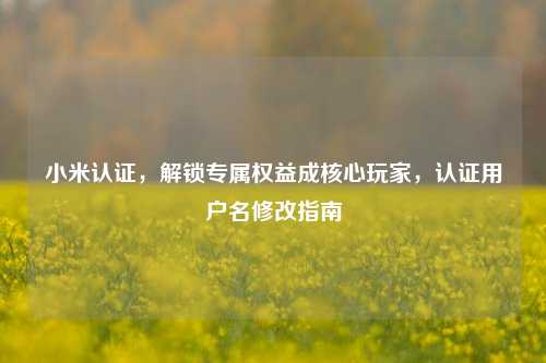 小米认证,解锁专属权益成核心玩家,认证用户名修改指南