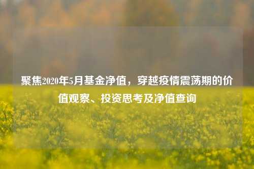聚焦2020年5月基金净值,穿越疫情震荡期的价值观察、投资思考及净值查询