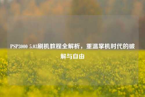PSP3000 5.03刷机教程全解析，重温掌机时代的破解与自由