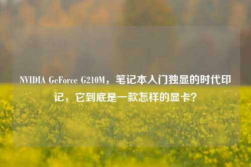 NVIDIA GeForce G210M,笔记本入门独显的时代印记,它到底是一款怎样的显卡?