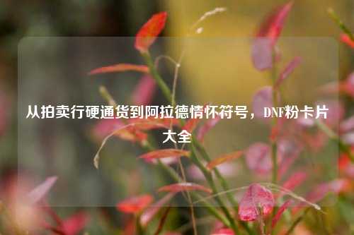 从拍卖行硬通货到阿拉德情怀符号,DNF粉卡片大全