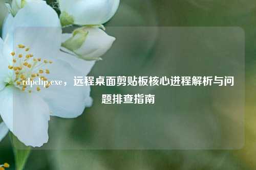 rdpclip.exe,远程桌面剪贴板核心进程解析与问题排查指南