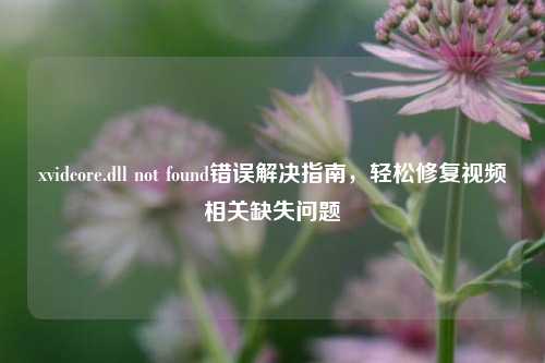 xvidcore.dll not found错误解决指南,轻松修复视频相关缺失问题
