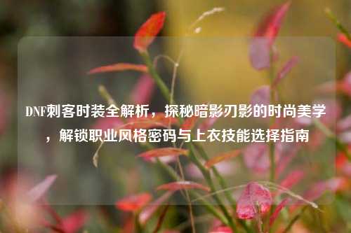 DNF刺客时装全解析,探秘暗影刃影的时尚美学,解锁职业风格密码与上衣技能选择指南