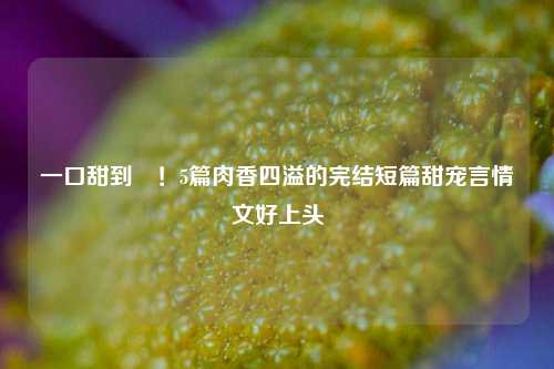 一口甜到齁!5篇肉香四溢的完结短篇甜宠言情文好上头
